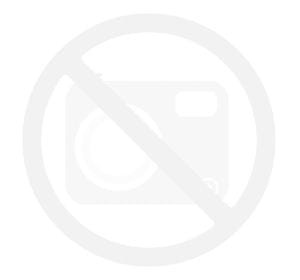 BALEA DUSCHGEL TOTES MEER SALZ 300ml żel pod prysznic 